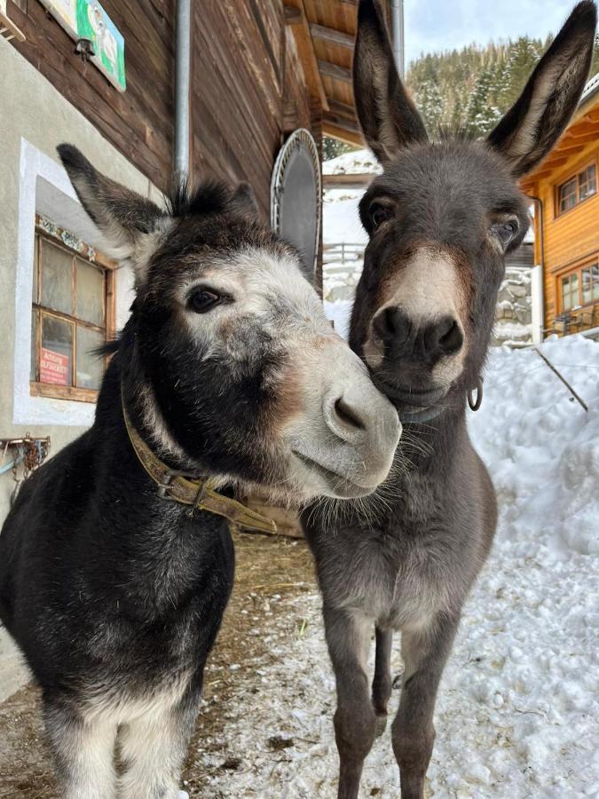 Alpenfrieden